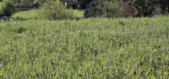 Terrain à bâtir à Pertuis, Provence-Alpes-Côte d'Azur