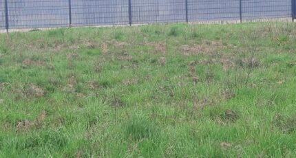 Mérignac Terrain à bâtir - 2469742-11151annonce1202603273Xbr5.jpeg Maisons Open