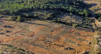 Narbonne Terrain à bâtir - 2469804-11782annonce120260327nOiE2.jpeg Maisons Open