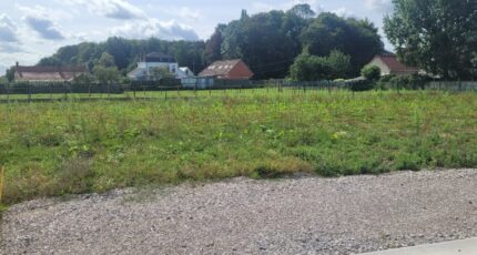 Wardrecques Terrain à bâtir - 2469756-1587annonce320260327cLPD8.jpeg Maisons Open