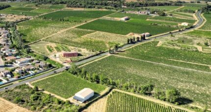 Salles-d'Aude Terrain à bâtir - 2469965-11782annonce1202603272tFqN.jpeg Maisons Open