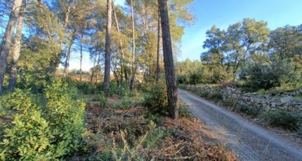 Trans-en-Provence Terrain à bâtir - 2469877-9911annonce1202603276e15r.jpeg Maisons Open