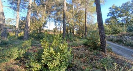 Trans-en-Provence Terrain à bâtir - 2469877-9911annonce220260327OS2Fq.jpeg Maisons Open