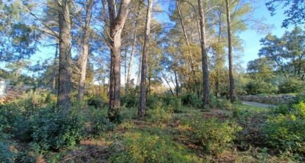 Trans-en-Provence Terrain à bâtir - 2469877-9911annonce320260327W4H0O.jpeg Maisons Open