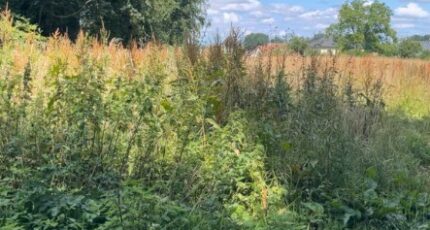 Yvetot Terrain à bâtir - 2469950-11168annonce120260327iOBGo.jpeg Maisons Open