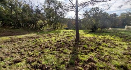 Saint-Raphaël Terrain à bâtir - 2470175-11157annonce220260327XgexI.jpeg Maisons Open