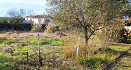 Pibrac Terrain à bâtir - 2469193-9555annonce120260327sdkcG.jpeg Maisons Open