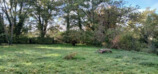 Terrain à bâtir à Saint-Maximin-la-Sainte-Baume, Provence-Alpes-Côte d'Azur