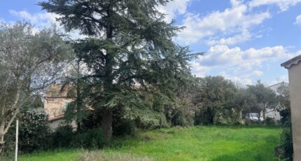 Saint-Maximin-la-Sainte-Baume Terrain à bâtir - 2470325-11680annonce320260328QSTaP.jpeg Maisons Open