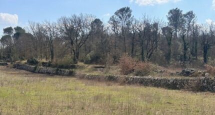 Saint-Maximin-la-Sainte-Baume Terrain à bâtir - 2470396-11680annonce220260328MVwn5.jpeg Maisons Open