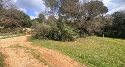 Saint-Maximin-la-Sainte-Baume Terrain à bâtir - 2470410-11680annonce220260328H1SGe.jpeg Maisons Open