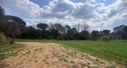 Saint-Maximin-la-Sainte-Baume Terrain à bâtir - 2470410-11680annonce320260328RZSRy.jpeg Maisons Open