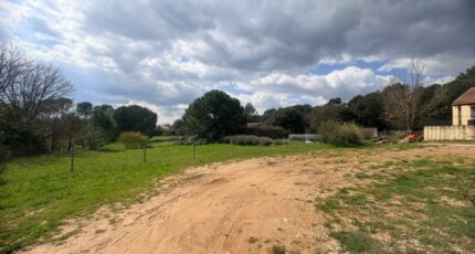 Saint-Maximin-la-Sainte-Baume Terrain à bâtir - 2470410-11680annonce420260328UAqMh.jpeg Maisons Open