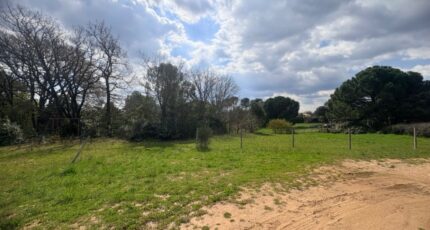 Saint-Maximin-la-Sainte-Baume Terrain à bâtir - 2470410-11680annonce520260328fJzDc.jpeg Maisons Open