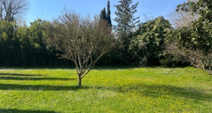 Saint-Rémy-de-Provence Terrain à bâtir - 2470513-11073annonce420260329EobfL.jpeg Maisons Open