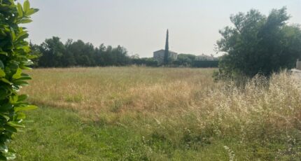 Alleins Terrain à bâtir - 2470659-11073annonce320260329spdip.jpeg Maisons Open