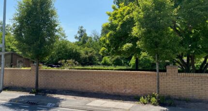 Rieulay Terrain à bâtir - 2470620-11632annonce5202603293Nhta.jpeg Maisons Open