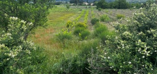 Terrain à bâtir à , Gard