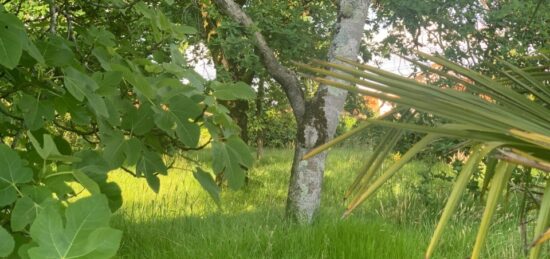 Terrain à bâtir à Port-de-Lanne, Nouvelle-Aquitaine