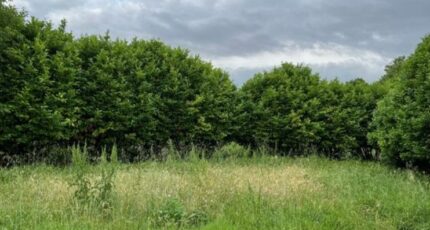 Loriol-sur-Drôme Terrain à bâtir - 2471070-812annonce4202507259aJkZ.jpeg Maisons Open