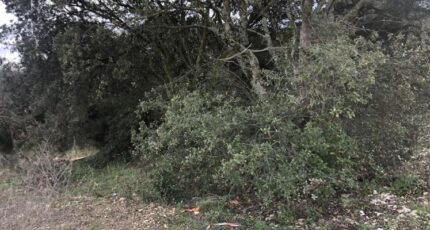 La Baume-de-Transit Terrain à bâtir - 2471032-812annonce220241128G9DpD.jpeg Maisons Open