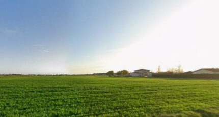 Lamasquère Terrain à bâtir - 2469871-6043annonce120260327INx3Q.jpeg Maisons Open