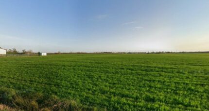 Lamasquère Terrain à bâtir - 2469871-6043annonce220260327iiTpD.jpeg Maisons Open