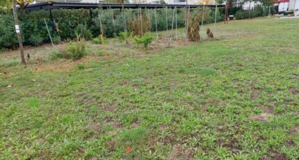 Launaguet Terrain à bâtir - 2468937-5604annonce4202603262oo6Q.jpeg Maisons Open