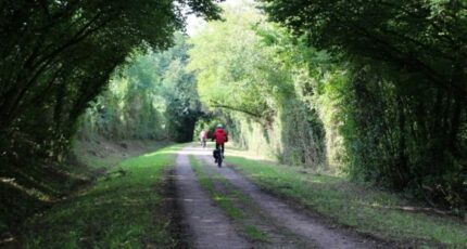 Saint-André-d'Hébertot Terrain à bâtir - 2471582-11227annonce220251028POMbN.jpeg Maisons Open