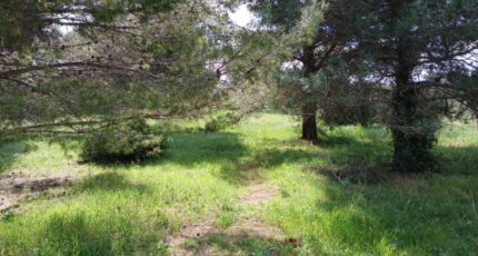 Saint-Jean-de-Fos Terrain à bâtir - 2471889-11040annonce120260330Pvdrh.jpeg Maisons Open