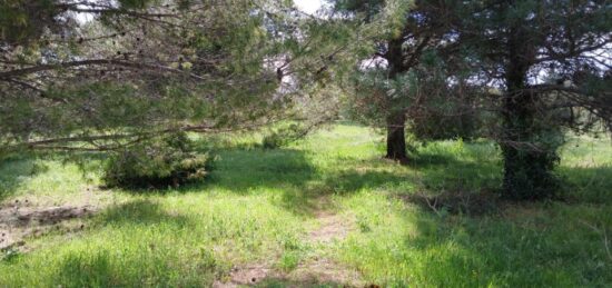 Terrain à bâtir à Saint-Jean-de-Fos, Occitanie