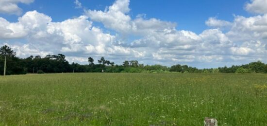Terrain à bâtir à Montlieu-la-Garde, Nouvelle-Aquitaine