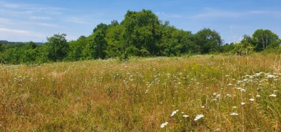 Terrain à bâtir à Abzac, Nouvelle-Aquitaine