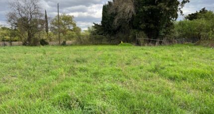 Montélimar Terrain à bâtir - 2441354-6150annonce120241020wIPX0.jpeg Maisons Open