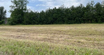 Cruas Terrain à bâtir - 2441345-6150annonce520251102lXnC0.jpeg Maisons Open