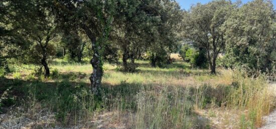 Terrain à bâtir à La Baume-de-Transit, Auvergne-Rhône-Alpes