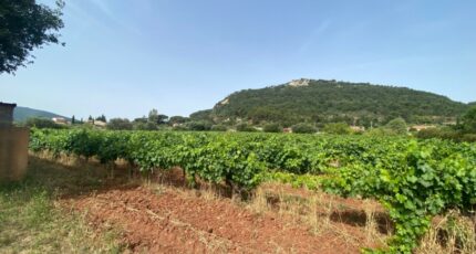 Gonfaron Terrain à bâtir - 2471939-5922annonce120260331D25Wg.jpeg Maisons Open