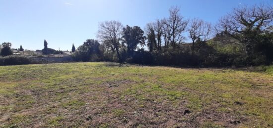 Terrain à bâtir à Puget-sur-Argens, Provence-Alpes-Côte d'Azur