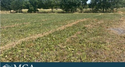 Mornac-sur-Seudre Terrain à bâtir - 2436469-11784annonce120260220hwTL2.jpeg Maisons Open