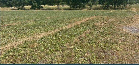 Terrain à bâtir à Mornac-sur-Seudre, Nouvelle-Aquitaine