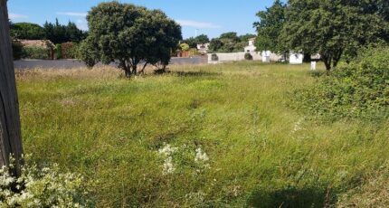 Avignon Terrain à bâtir - 2472099-695annonce220260331b8UrO.jpeg Maisons Open