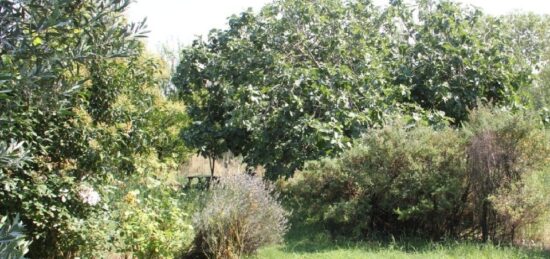 Terrain à bâtir à Castelnaudary, Occitanie