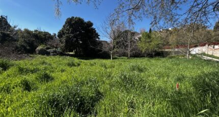 Flayosc Terrain à bâtir - 2472727-4529annonce220260331FPvFO.jpeg Maisons Open