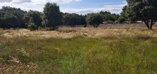 Terrain à bâtir à Beaumettes, Provence-Alpes-Côte d'Azur