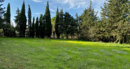 Grillon Terrain à bâtir - 2403194-6150annonce120230109Fxmea.jpeg Maisons Open