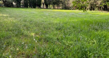 Grillon Terrain à bâtir - 2403194-6150annonce520230109oBNe0.jpeg Maisons Open