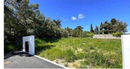 La Palme Terrain à bâtir - 2472758-11782annonce220260331eZRMU.jpeg Maisons Open