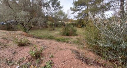 Salernes Terrain à bâtir - 2472892-11157annonce120260331NQp8c.jpeg Maisons Open