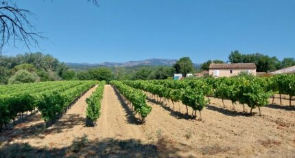 Cogolin Terrain à bâtir - 2472901-11157annonce1202603310BBI6.jpeg Maisons Open