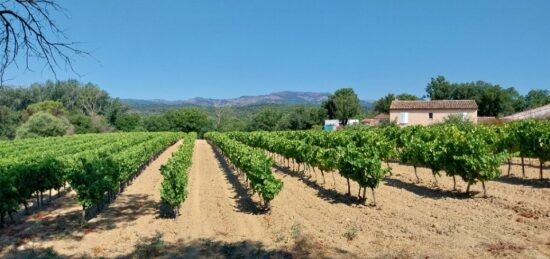 Terrain à bâtir à Cogolin, Provence-Alpes-Côte d'Azur